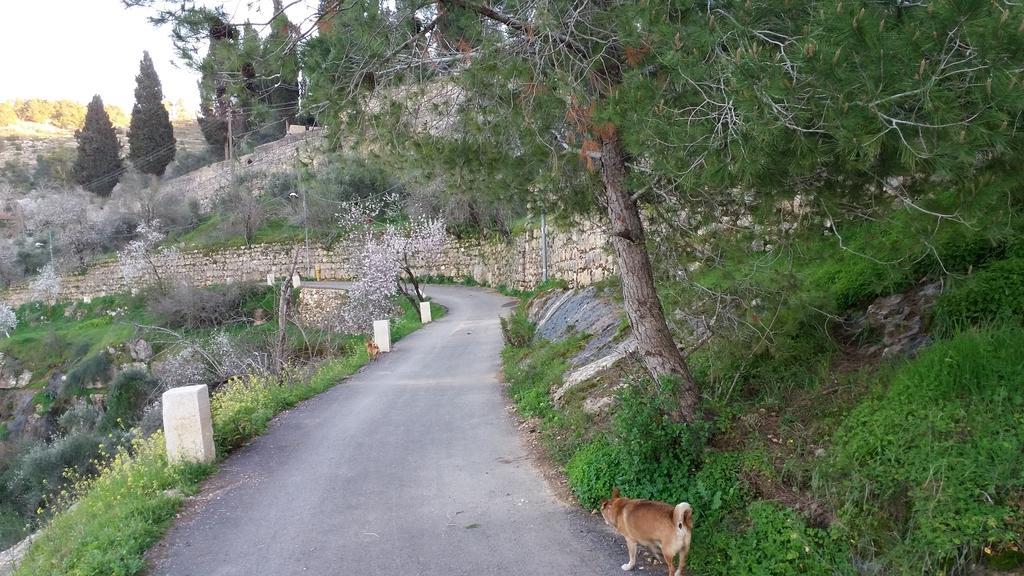 Rosary Sister Guest House Ein Karem Jeruzalem Buitenkant foto